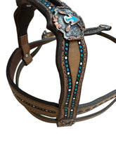 Browband Headstall